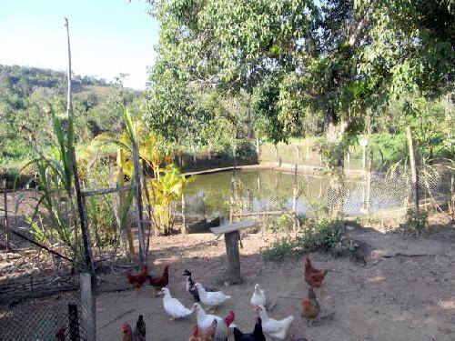 Fazenda à venda com 3 quartos, 400m² - Foto 21