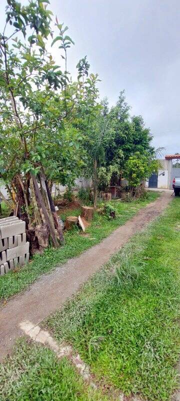 Fazenda à venda com 3 quartos, 190m² - Foto 14