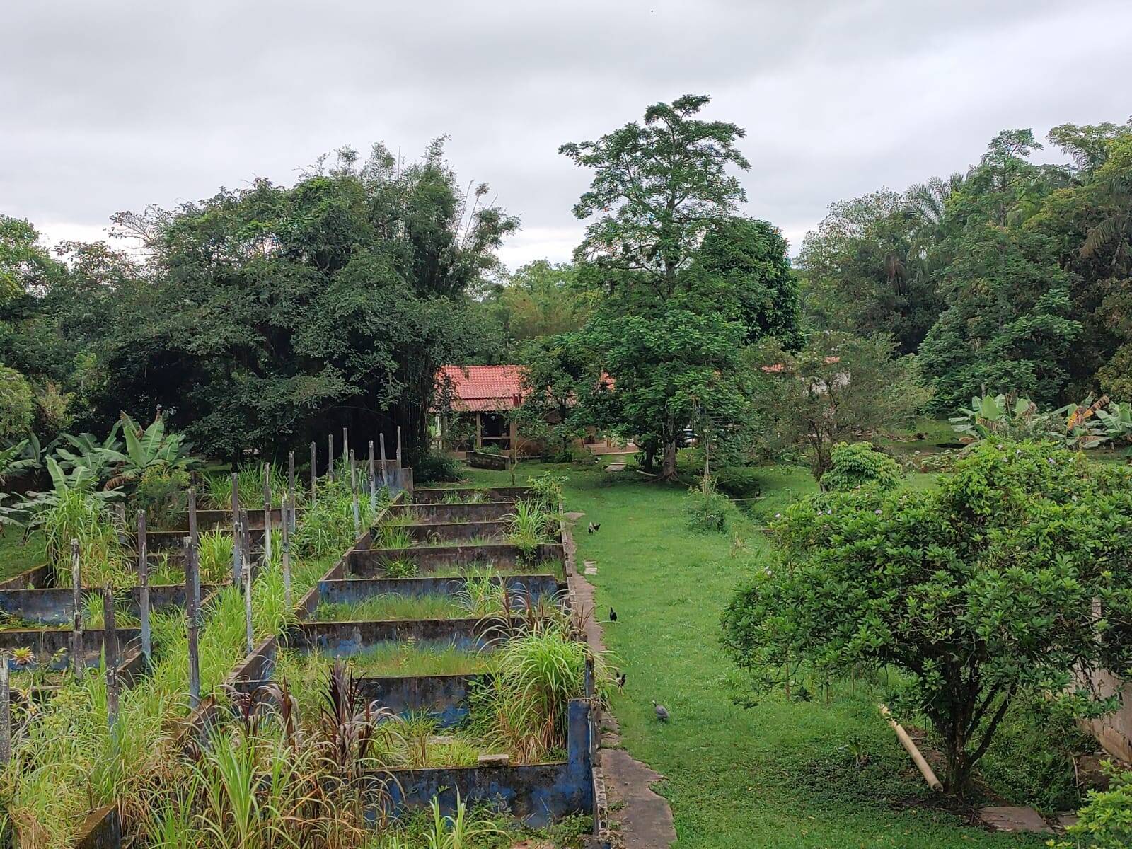 Fazenda à venda com 3 quartos, 250m² - Foto 25