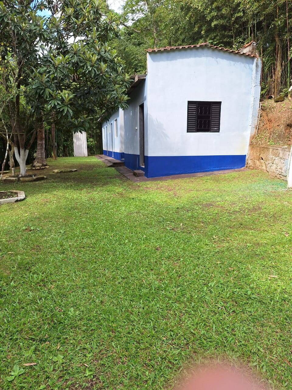 Fazenda à venda com 5 quartos, 180m² - Foto 21