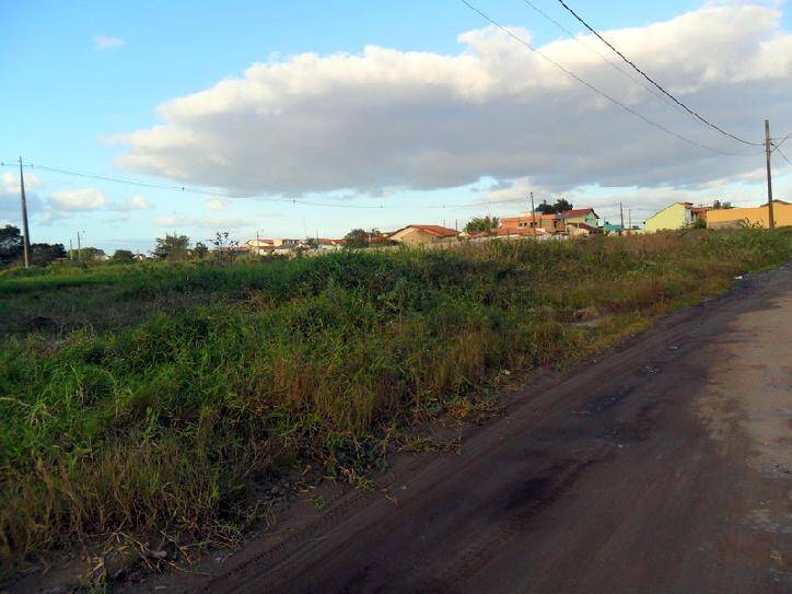 Terreno à venda, 260m² - Foto 2