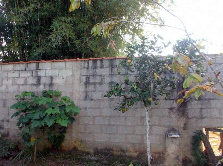 Fazenda à venda com 6 quartos, 600m² - Foto 45