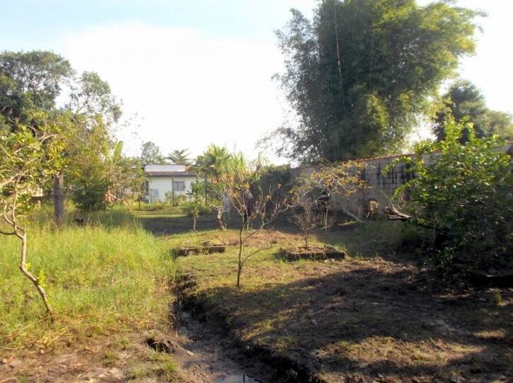 Fazenda à venda com 6 quartos, 600m² - Foto 46