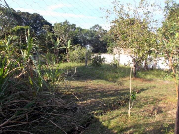 Fazenda à venda com 6 quartos, 600m² - Foto 47