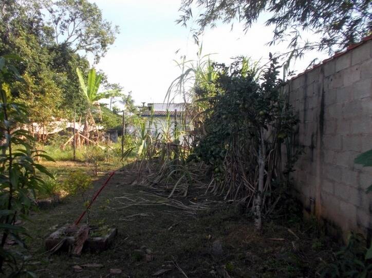 Fazenda à venda com 6 quartos, 600m² - Foto 48